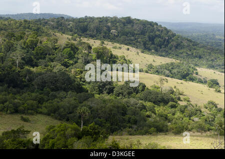 Pengo Hill, Shimba Hills riserva nazionale, Kenya Foto Stock