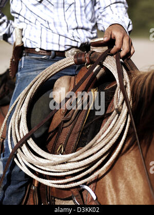 Cowboy a cavallo con il lazo, Montana, USA Foto Stock