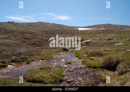 Escursioni al Monte Kosciuszko, montagne innevate nel Kosciuszko National Park. Foto Stock