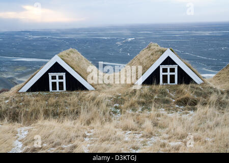 Islanda case del fondo erboso Foto Stock