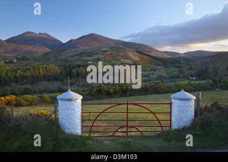 Fattoria sotto la Mourne Mountains, County Down, Irlanda del Nord. Foto Stock