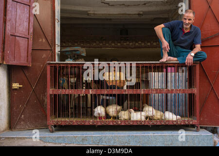 Negoziante seduto su una gabbia di polli vivi in un negozio nella Medina di Fez, Marocco Foto Stock