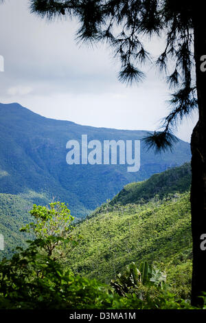 Vista sulla passeggiata intorno al Black River Gorge National Park, Mauritius, Oceano Indiano Foto Stock