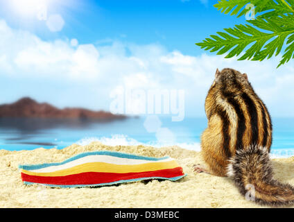 Scoiattolo striado sunbathes sulla spiaggia, concetto di vacanza Foto Stock
