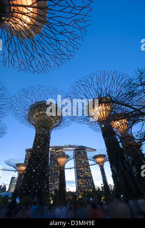 Supertrees illuminato al tramonto con uno sfondo di Marina Bay Sands in Singapore Foto Stock