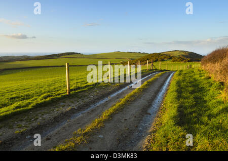 Azienda agricola Via attraverso i campi con maggiore Warcombe nelle vicinanze del Ilfracombe, North Devon, Inghilterra Foto Stock