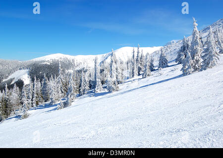 Il free ride area su Chopok in Jasna ski resort, Bassi Tatra, Slovacchia Foto Stock