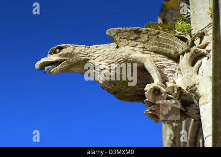 Gargoyle gotico statue sulla facciata della Cattedrale Gotica di Notre-dame, Amiens, Francia Foto Stock