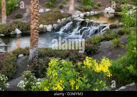 Cascate in giardino. Palm Desert, California Foto Stock