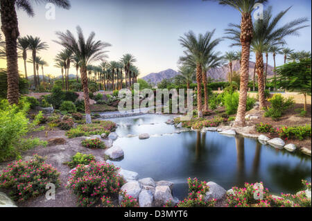 Laghetto in giardino. Palm Desert, California Foto Stock