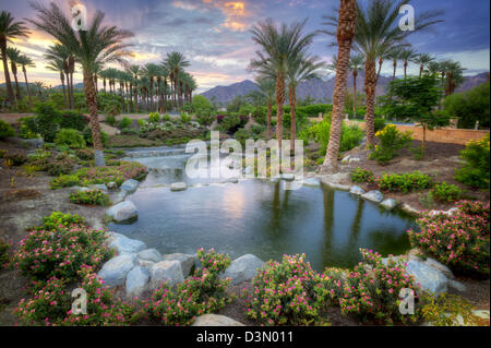 Laghetto in giardino. Palm Desert, California Foto Stock