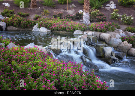 Cascate in giardino. Palm Desert, California Foto Stock