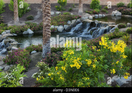 Cascate in giardino. Palm Desert, California Foto Stock