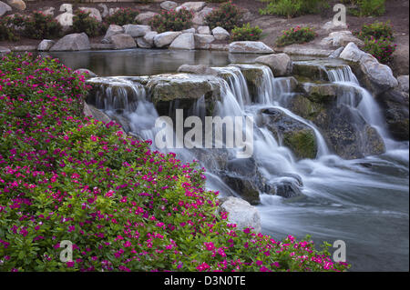 Cascate in giardino. Palm Desert, California Foto Stock