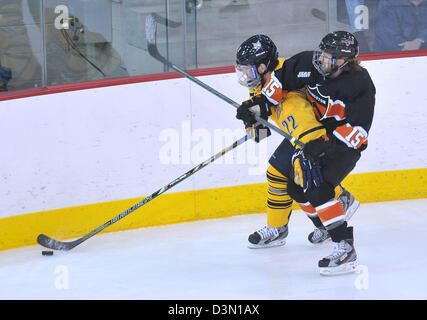 Hamden CT USA--Quinnipiac Vs Princeton hockey gioco di azione. Foto Stock