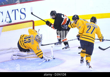 Hamden CT USA--Quinnipiac Vs Princeton hockey gioco di azione. Foto Stock