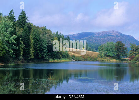 Elk282-2178 Maine, Parco Nazionale di Acadia, lunga vasca Foto Stock