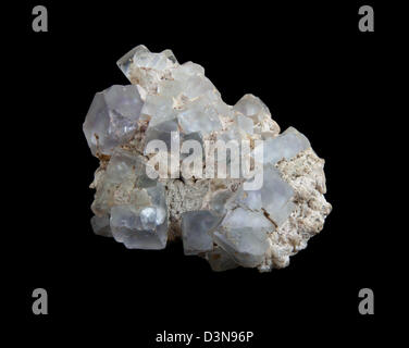 Calcite bianca cristalli sulla fluorite viola, isolato su nero. Foto Stock