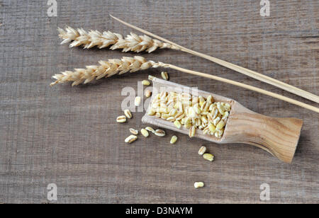 Cucchiaio di legno riempita con il grano su un bordo lungo con chicco di grano Foto Stock