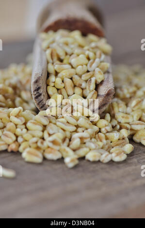 Chicchi di grano in un cucchiaio su uno sfondo di legno Foto Stock