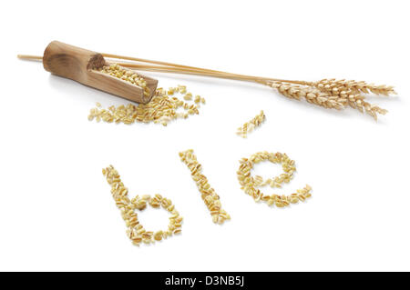 Frumento scritto in francese con semi di grano in un cucchiaio colmo di grano Foto Stock