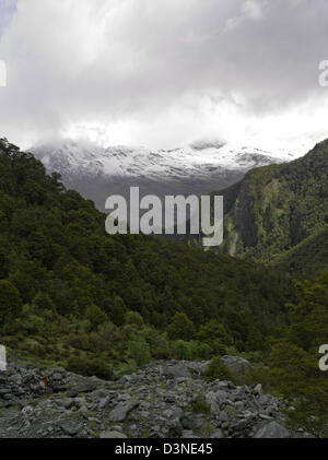 Vedute lungo la strada del Rob Roy Glacier via, Mt Aspiring National Park, vicino a Wanaka, Nuova Zelanda Foto Stock