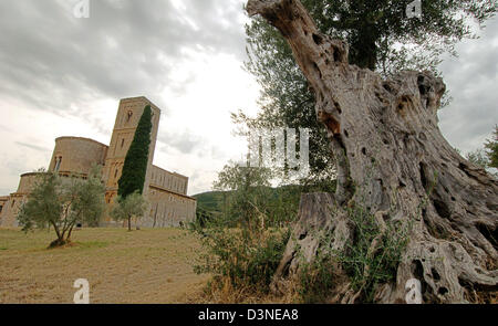 (Dpa - file) La foto mostra l'Abbazia di Sant'Antimo ('Abbazia di Sant'Antimo') vicino a Montalcino in Italia, settembre 2005. L'ex Abbazia dei Benedettini nella valle Starcia e la zona del Chianti è considerata un gioiello di architettura romanica in Toscana. Dopo un lungo periodo di monaci unihabited restituiti all'abbazia nel 1979. Il famoso vino 'Brunnello di Montalcino" è cresciuto in Foto Stock