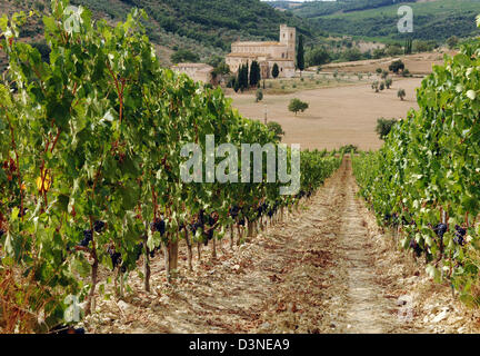 (Dpa - file) La foto mostra l'Abbazia di Sant'Antimo ('Abbazia di Sant'Antimo') vicino a Montalcino in Italia, settembre 2005. L'ex Abbazia dei Benedettini nella valle Starcia e la zona del Chianti è considerata un gioiello di architettura romanica in Toscana. Dopo un lungo periodo di monaci unihabited restituiti all'abbazia nel 1979. Il famoso vino 'Brunnello di Montalcino" è cresciuto in Foto Stock