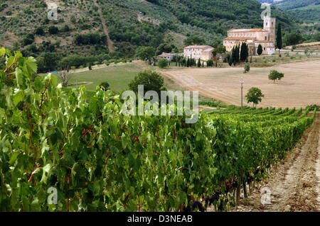 (Dpa - file) La foto mostra l'Abbazia di Sant'Antimo ('Abbazia di Sant'Antimo') vicino a Montalcino in Italia, settembre 2005. L'ex Abbazia dei Benedettini nella valle Starcia e la zona del Chianti è considerata un gioiello di architettura romanica in Toscana. Dopo un lungo periodo di monaci unihabited restituiti all'abbazia nel 1979. Il famoso vino 'Brunnello di Montalcino" è cresciuto in Foto Stock