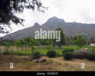 La foto mostra la vista dalla strada di pellegrinaggio sulla santa montagna Arunachala vicino a Tiruvannamalai, si trova nello stato federale di Tamil Nadu, India, 03 marzo 2006. Montagna di Arunachala è di circa 980 metri e India del santissimo montagna indù. Foto: Beate Schleep Foto Stock