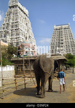 Un mahout guida il suo cosiddetto tempio-elephant attraverso il tempio facility Arunachalesvara in fondo alla santa montagna Arunachala a Tiruvannamalai, si trova nello stato federale di Tamil Nadu, India, 02 marzo 2006. Arunachalesvara è un tempio nidificati facility e uno dei più significativi Shiva-santuari in India del Sud. È stato costruito da dominatori della Cola-dinastia (7. Foto Stock