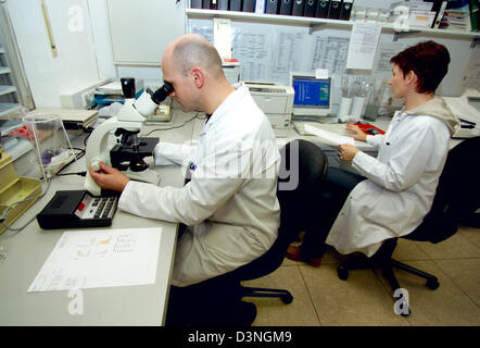(Dpa) file - un assistente di laboratorio (L) esamina una cosiddetta striscio di sangue mentre il suo collega funziona su un computer nella Hygienics Istituto di Iserlohn, Germania, 18 gennaio 2006. Le cellule del sangue sono esaminato sotto un microscopio. Una goccia di sangue viene cosparsa sul portaoggetti e tinti con certi reagenti. La forma, la macchia e la dimensione delle cellule del sangue sono esaminati. La medicina di laboratorio i Foto Stock