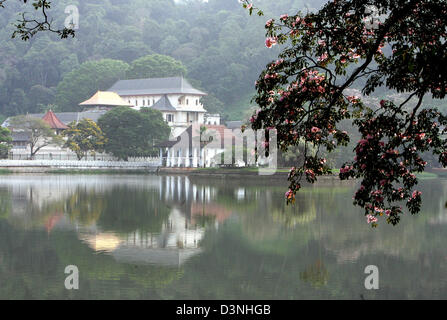 Vista sul lago sul tempio del Dente (Dalada Maligava), Kandy, Sri Lanka, 28 aprile 2006. Il santuario presenta un dente del Buddha ed è un famoso luogo di pellegrinaggio. La città sacra di Kandy è stata elencata Sito Patrimonio Mondiale dell'UNESCO nel 1988. Foto: Maurizio Gambarini Foto Stock