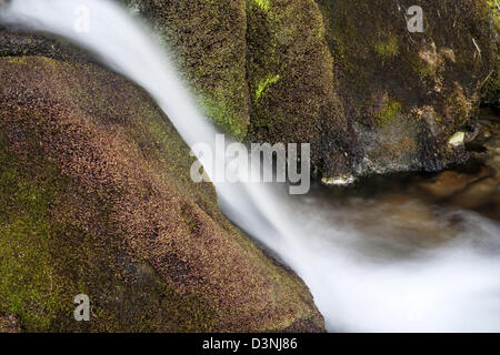 Lo splendido paesaggio di acqua che scorre dal ruscello di montagna Foto Stock