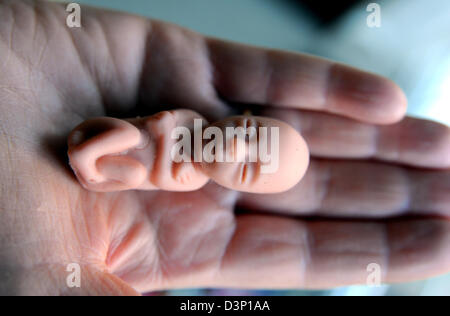 Minuscolo feto baby doll tenuto nel palmo della mano utilizzata da anti aborto attivisti Foto Stock