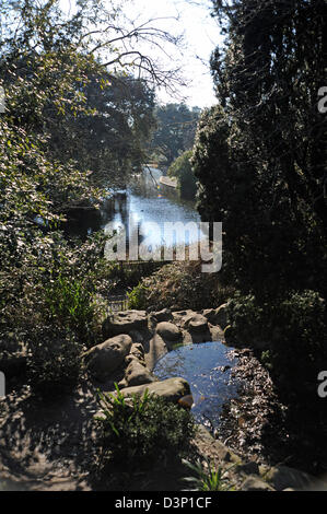 Brighton SUSSEX REGNO UNITO20 febbraio 2013 - sole primaverile in Queens Park Brighton oggi Foto Stock