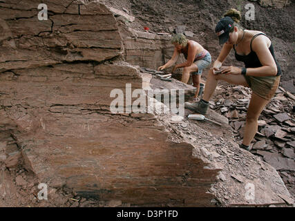 Aiutanti di scavo Anna Ventura (R) e Steffi Martens ricerca di dinosauro rimane a 300 milioni di euro l'anno vecchio luogo di reperti fossili 'Bromacker' vicino Tambach-Dietharz, Germania, giovedì 27 luglio 2006. "Bromacker' è il più importante luogo di fossili di dinosauri scoperte al di fuori degli Stati Uniti e quello più rilevante per il Permiano periodo (299 fino a 270 milioni di anni). Questo anno scienti Foto Stock