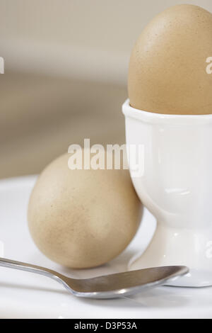 Il momento della colazione, England, Regno Unito Foto Stock