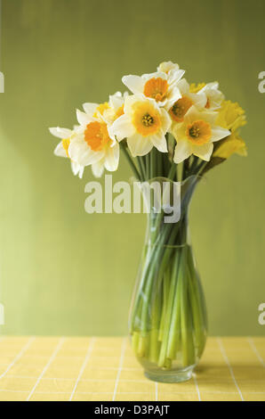 Allegro taglio misti narcisi in un vaso di vetro su di un segno di spunta giallo tovaglia con uno sfondo verde Foto Stock