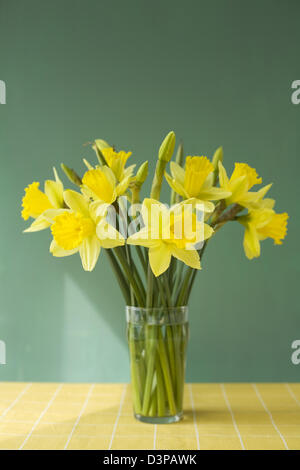 Allegro tagliare i narcisi in un vaso di vetro su di un segno di spunta giallo tovaglia con uno sfondo blu Foto Stock