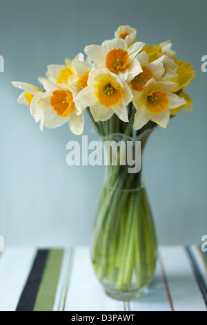 Allegro taglio misti narcisi in un vaso di vetro su una tovaglia a righe con sfondo blu Foto Stock