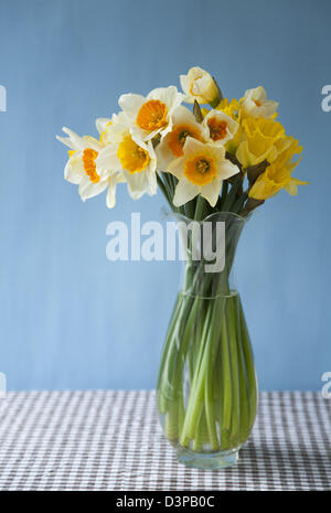 Allegro taglio misti narcisi in un vaso di vetro su un controllo gingham tovaglia con uno sfondo blu Foto Stock