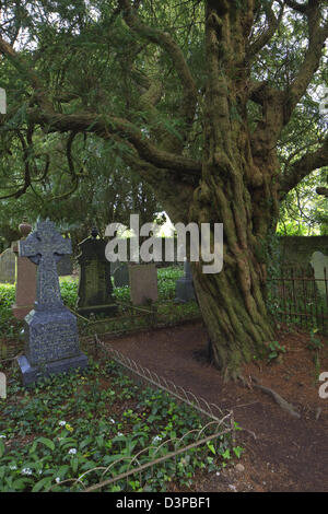 St Brynach Chiesa cantiere Nevern Fishguard Pembrokeshire Wales Foto Stock