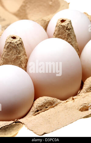 Scatola di anatra bianco uova Foto Stock