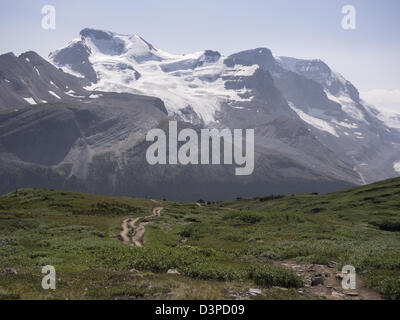 Percorso verso le montagne. Gli escursionisti seguire il percorso di avvolgimento sul Wilcox Pass. Montare l'Athabasca è in background. Foto Stock