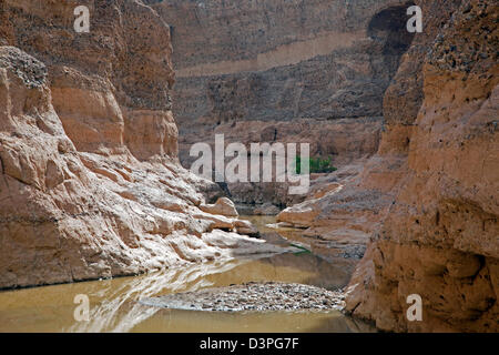 Sesriem canyon scavato dal Tsauchab rivier nel deserto del Namib, Namib-Naukluft National Park, Namibia, Sud Africa Foto Stock