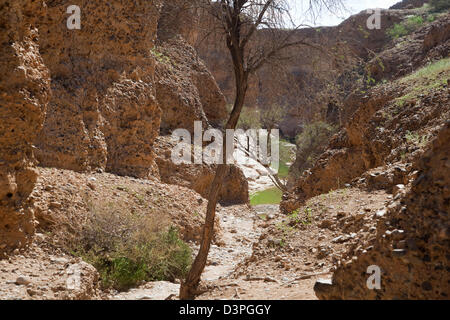 Sesriem canyon scavato dal Tsauchab rivier nel deserto del Namib, Namib-Naukluft National Park, Namibia, Sud Africa Foto Stock