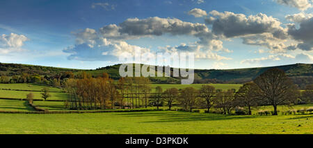 Sullington Prati e Sullington Hill, Sullington, West Sussex Foto Stock