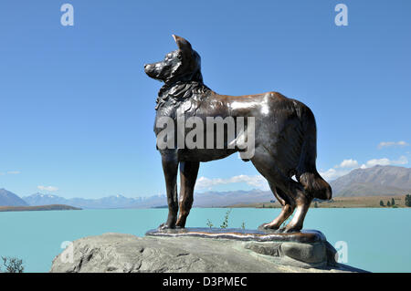 Collie Bronze presso il lago Tekapo commissionata dai residenti del Mackenzie Country in riconoscimento del ruolo indispensabile del cane da pastore nella regione Foto Stock