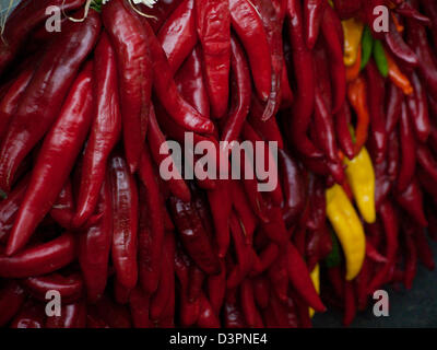 Rista fresco sul display presso il locale mercato degli agricoltori. La leggenda narra, nel sud-ovest, che appeso chili ristras porta fortuna se appeso all'ingresso della casa. Foto Stock